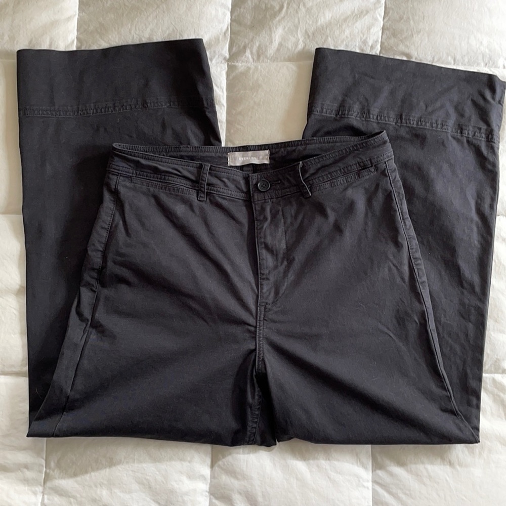 Everlane Wide Leg Crop Chino